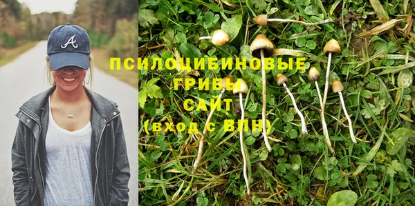 гидропоника Алексин